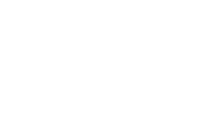 B.Nano
